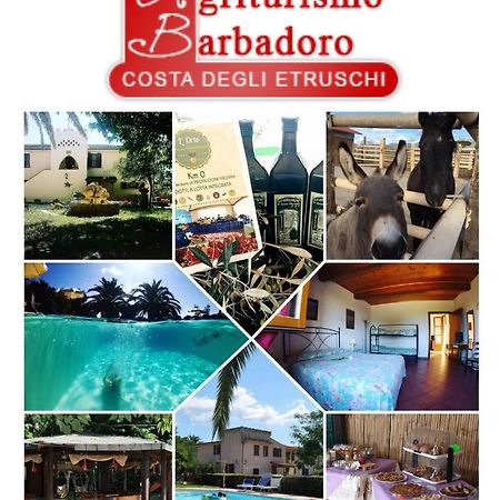 Agriturismo Barbadoro Σαν Βιντσέντσο Εξωτερικό φωτογραφία
