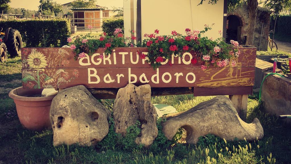 Agriturismo Barbadoro Σαν Βιντσέντσο Δωμάτιο φωτογραφία