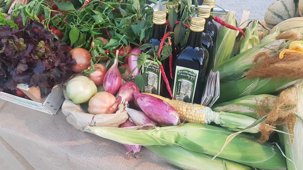Agriturismo Barbadoro Σαν Βιντσέντσο Εξωτερικό φωτογραφία