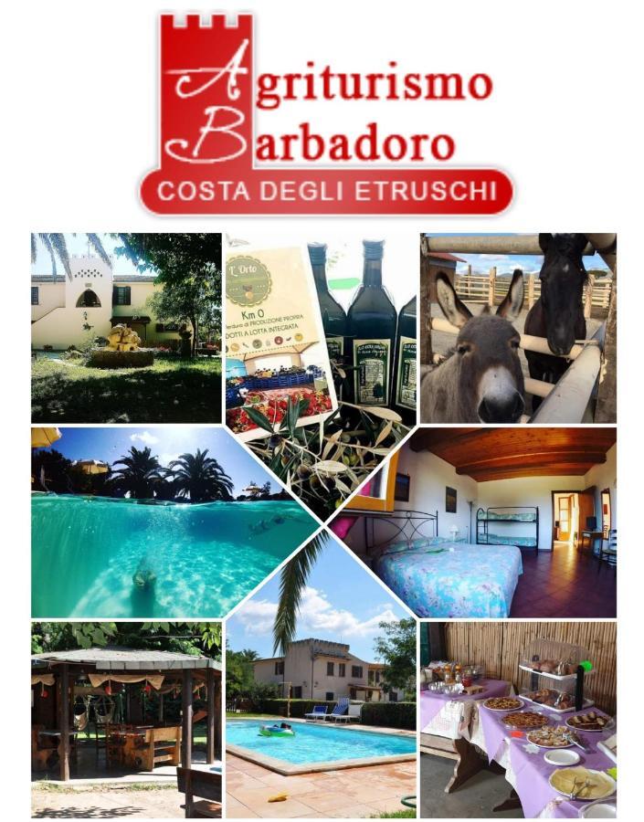 Agriturismo Barbadoro Σαν Βιντσέντσο Εξωτερικό φωτογραφία